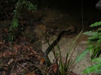 20050227-RedHill 078